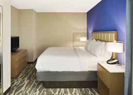 Holiday Inn AUGUSTA WEST I-20 by IHG 3