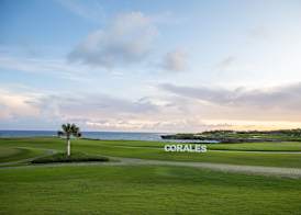 Tortuga Bay 4