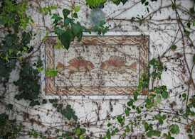 Hotel Residence Mahmoud 3
