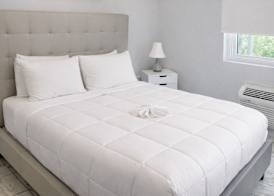 Coral Princess Hotel 2