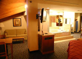 American Inn and Suites Ionia 3