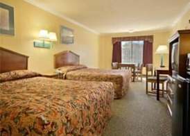 Super 8 by Wyndham Los Angeles Downtown 5
