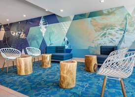 Cambria Hotel St Petersburg-Madeira Beach Marina 3