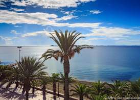 Hotel Neptuno 5