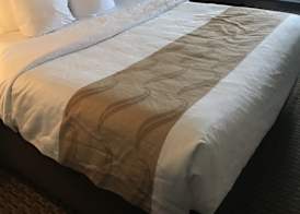 Quality Inn & Suites Sun Prairie Madison East 4