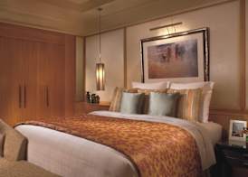 Ritz Carlton Residences DIFC Downtown Dubai 4