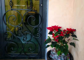 Hotel Giappone 3