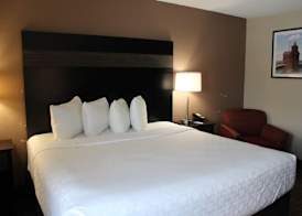 AmericInn by Wyndham Holland MI 4