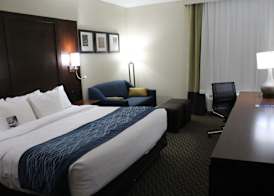 Comfort Inn & Suites Near Six Flags & Medical Center 5