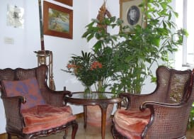 La Terrazza dei Pelargoni B&B 2
