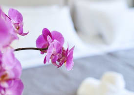 The Athens Version Luxury Suites 5