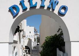Dilino 2