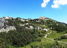 Alpenhotel Marcius 5