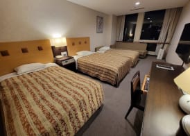 Hotel Osaka Castle 5