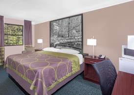 Super 8 by Wyndham Austell/Six Flags 3