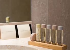 Hôtel du Danube Saint Germain 3