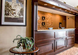 Comfort Suites New Braunfels - San Antonio Area 4