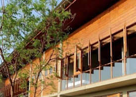 Tree Tops Yala 5