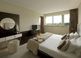 Penafiel Park Hotel & Spa 3
