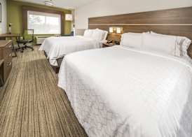 Holiday Inn Express INDIANAPOLIS SOUTH by IHG 3