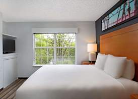 Hyatt House Austin Arboretum 2