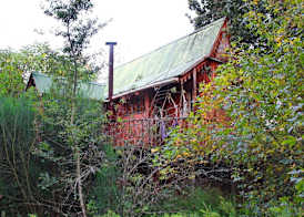 Sycamore Avenue Treehouses & Cottages Accommodation 3