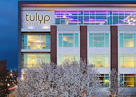 Tulyp, Tapestry Collection by Hilton 2