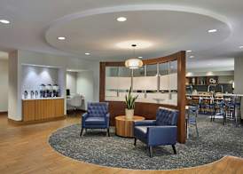 SpringHill Suites by Marriott Atlanta Alpharetta 5
