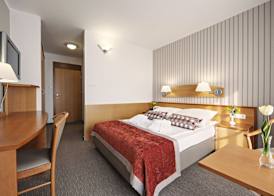Hotel Termal - Terme 3000 - Sava Hotels & Resorts 4