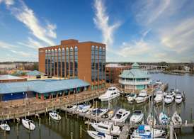 The Landing at Hampton Marina, Tapestry Collection by Hilton 3