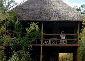 Muweti Bush Lodge 2