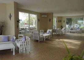 Club Muskebi 2