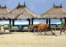 Novotel Lombok Resort & Villas 4