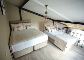 Artist Rooms Suites 3