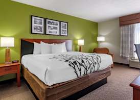 Sleep Inn & Suites Stockbridge Atlanta South 4