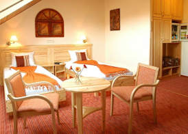Hotel Manzard Panzio 5