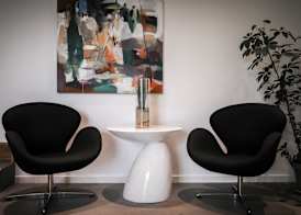 Dolphin Hotel Herning 2