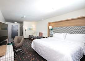 Holiday Inn & Suites KALAMAZOO WEST by IHG 3