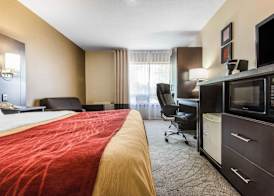 Comfort Inn 5