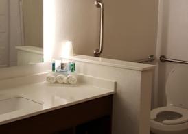 Holiday Inn Express & Suites TOLEDO WEST by IHG 3