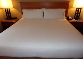 Holiday Inn Express & Suites CHICAGO WEST-ROSELLE by IHG 3