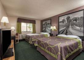 Super 8 by Wyndham Carrollton 4