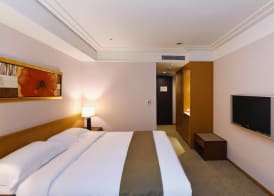 Fullon Hotel Taoyuan 5