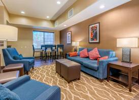Comfort Inn & Suites Galt - Lodi North 4