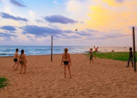 Pandanus Beach Resort & Spa 4