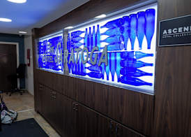 The Hotel Saratoga, an Ascend Collection Hotel 2