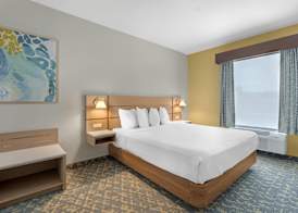 Best Western Wesley Chapel 5