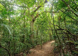 Elida Lodge Monteverde 2