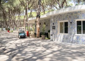 Camping Village Mare Pineta 3