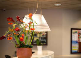 Hotel Saint Georges Lourdes 3